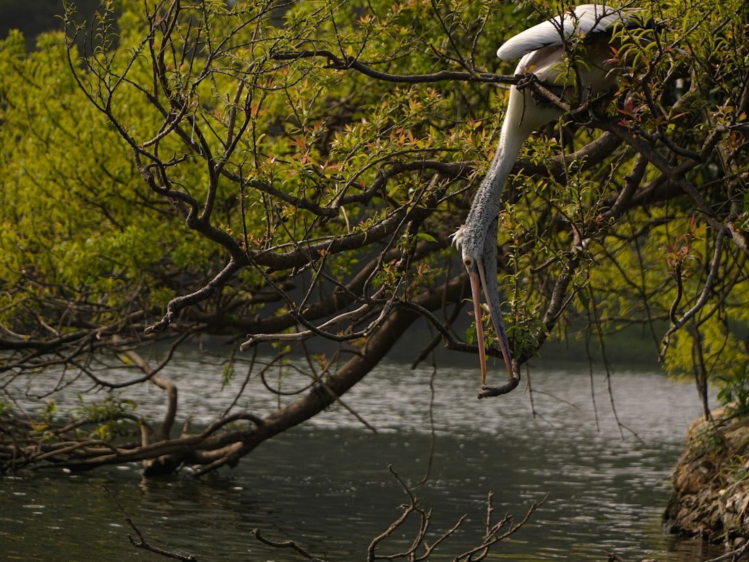 kako uštedjeti vodu​ slika