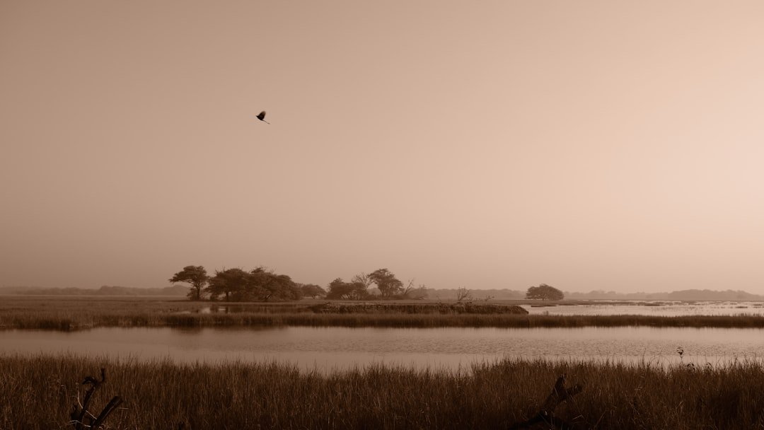 kako smanjiti potrošnju vode u stanu povezana slika