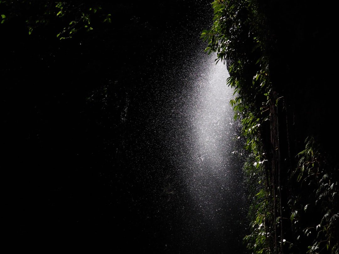 kako smanjiti potrošnju vode u stanu slika teme